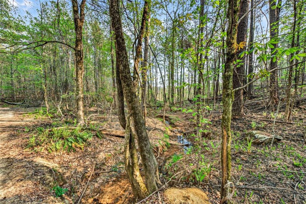 669 Pecan Grove Road Washington, GA 30673 - Photo 42 of 61