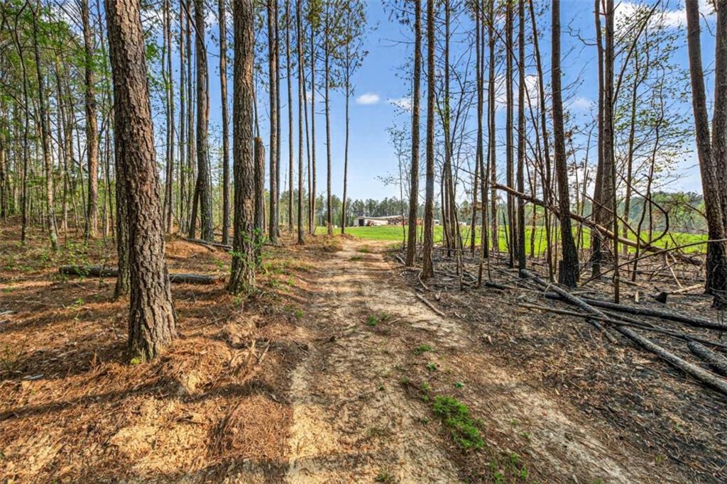 669 Pecan Grove Road Washington, GA 30673 - Photo 43 of 61