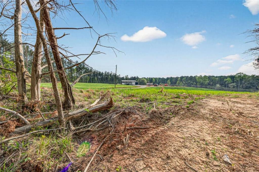 669 Pecan Grove Road Washington, GA 30673 - Photo 44 of 61