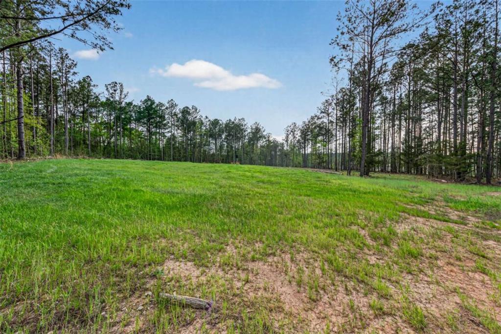 669 Pecan Grove Road Washington, GA 30673 - Photo 45 of 61