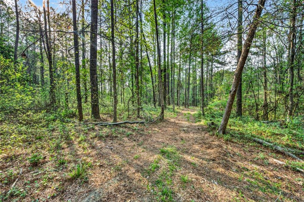 669 Pecan Grove Road Washington, GA 30673 - Photo 46 of 61