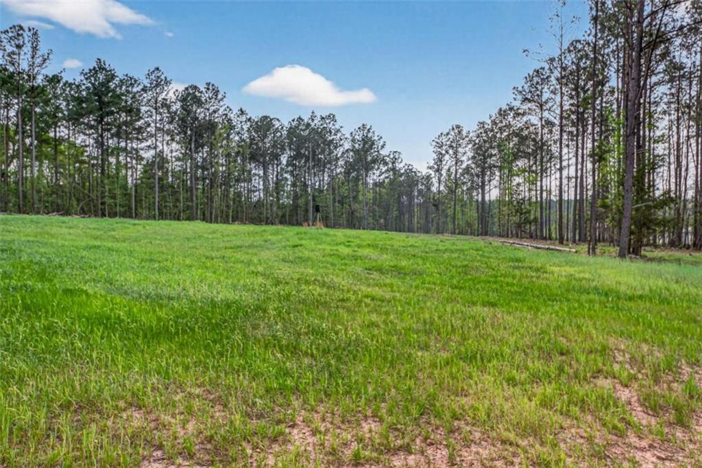 669 Pecan Grove Road Washington, GA 30673 - Photo 47 of 61