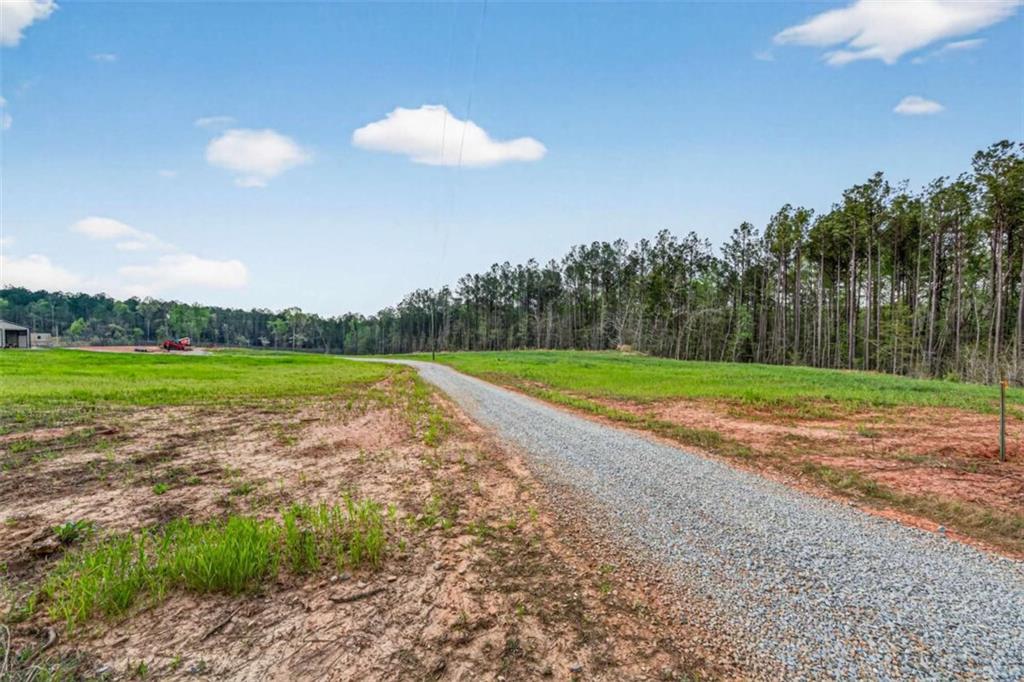 669 Pecan Grove Road Washington, GA 30673 - Photo 48 of 61