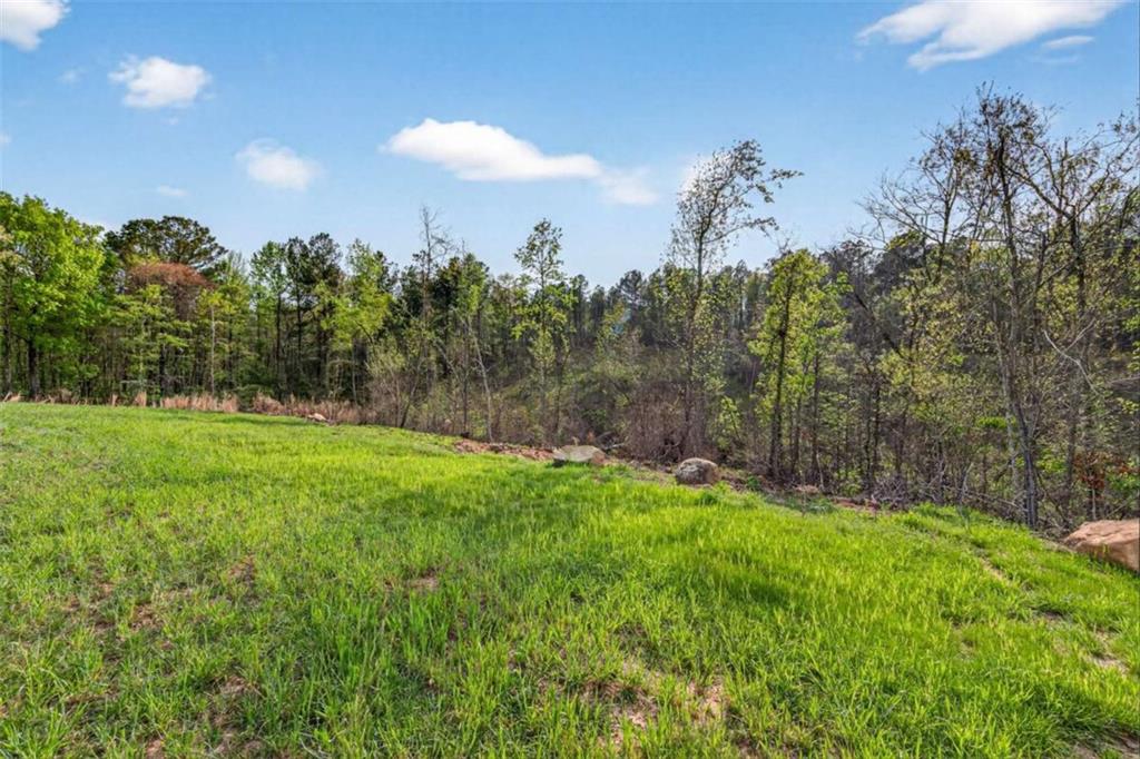 669 Pecan Grove Road Washington, GA 30673 - Photo 52 of 61