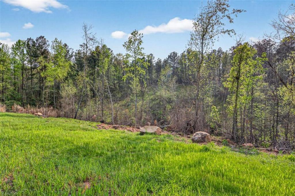 669 Pecan Grove Road Washington, GA 30673 - Photo 53 of 61