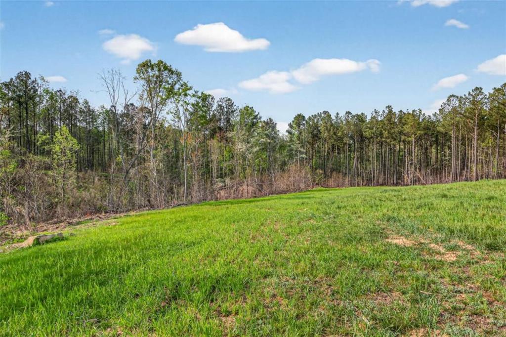 669 Pecan Grove Road Washington, GA 30673 - Photo 54 of 61