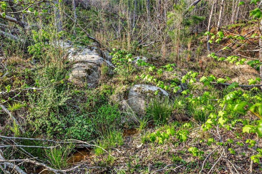 669 Pecan Grove Road Washington, GA 30673 - Photo 55 of 61