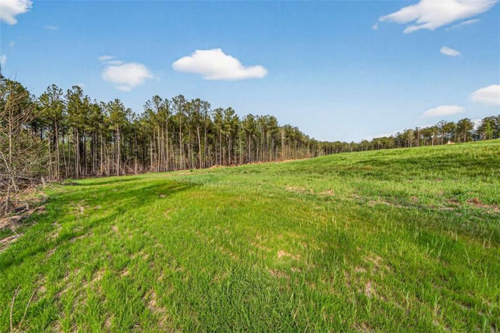 669 Pecan Grove Road Washington, GA 30673 - Photo 56 of 61