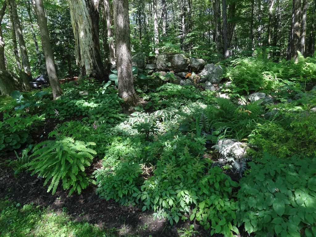 200 W Road Petersham, MA 01366 - Photo 27 of 30