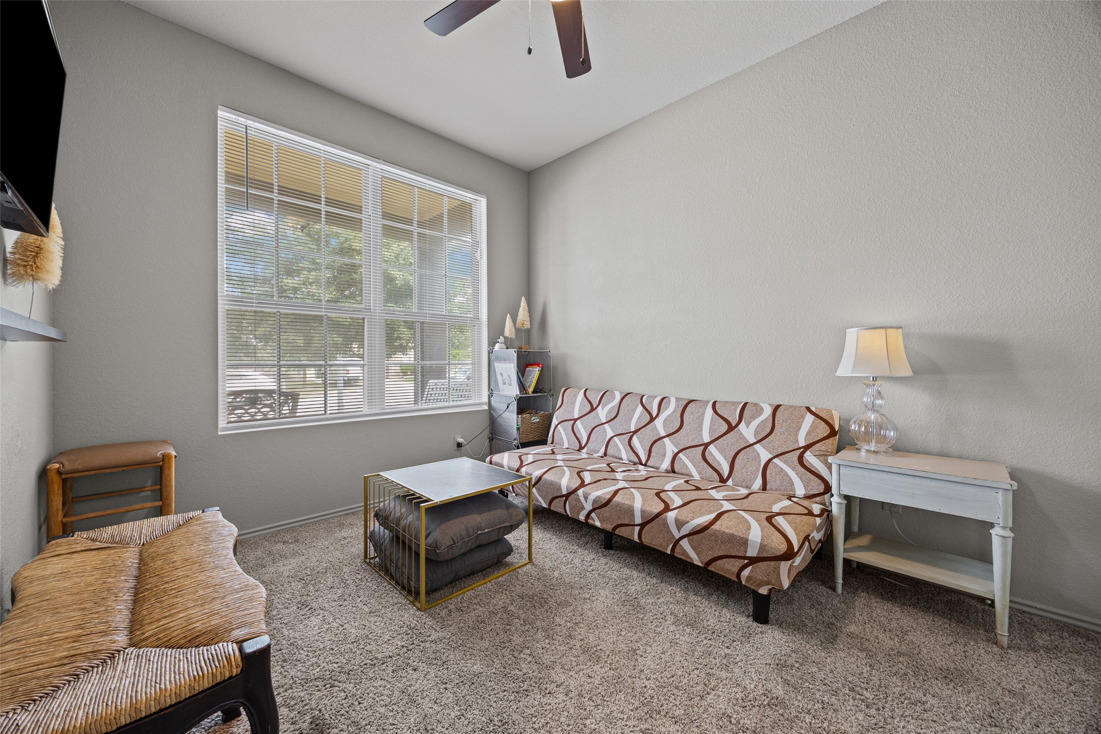 19113 Rookery Trail Pflugerville, TX 78660 - Photo 3 of 36 Carpeted room with a large window, a ceiling fan, and light gray walls