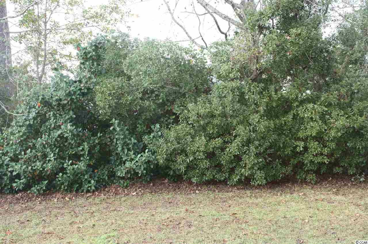 720 Lilly Naz Lane Myrtle Beach, SC 29588 - Photo 23 of 25 Gallery Image 23