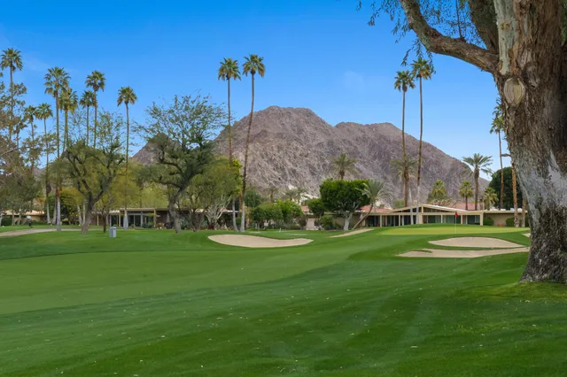 a view of a grassy field with trees