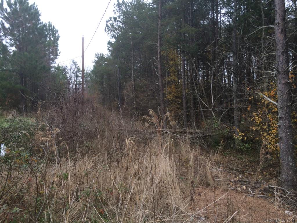 1311 Micol Road, Unit 15 & 16 Newton, NC 28658 - Photo 1 of 3 a view of trees in a field