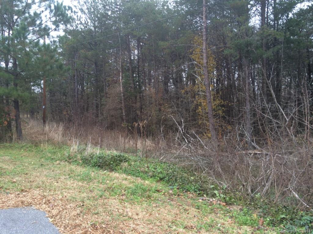 1311 Micol Road, Unit 15 & 16 Newton, NC 28658 - Photo 2 of 3 a view of outdoor space and green space