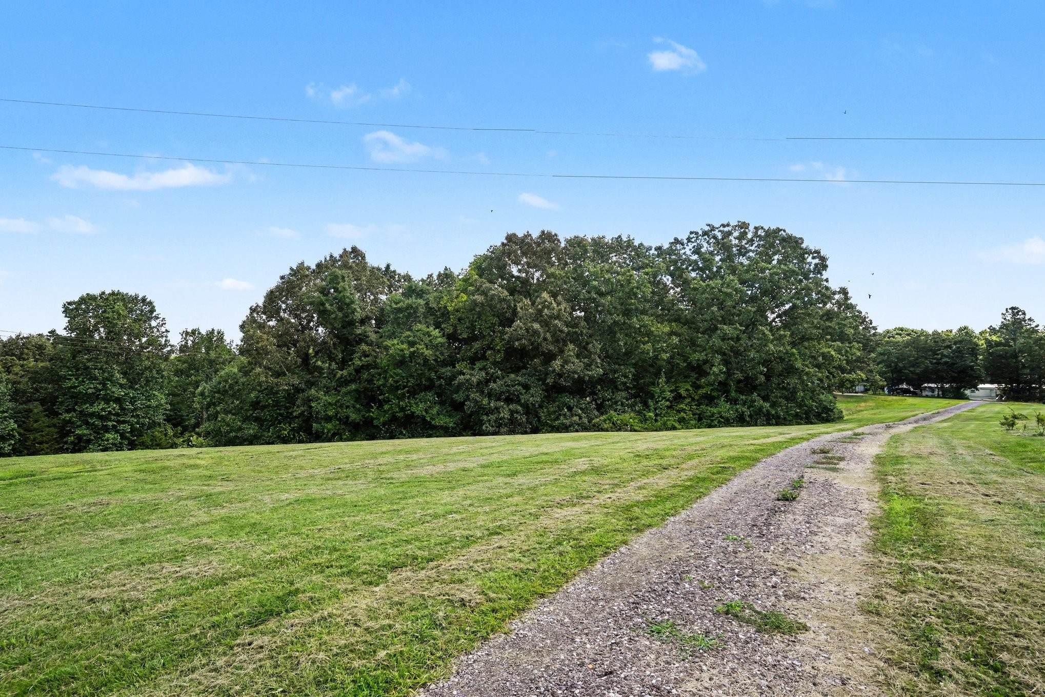 609 Stacy Road White Bluff, TN 37187 - Photo 22 of 36