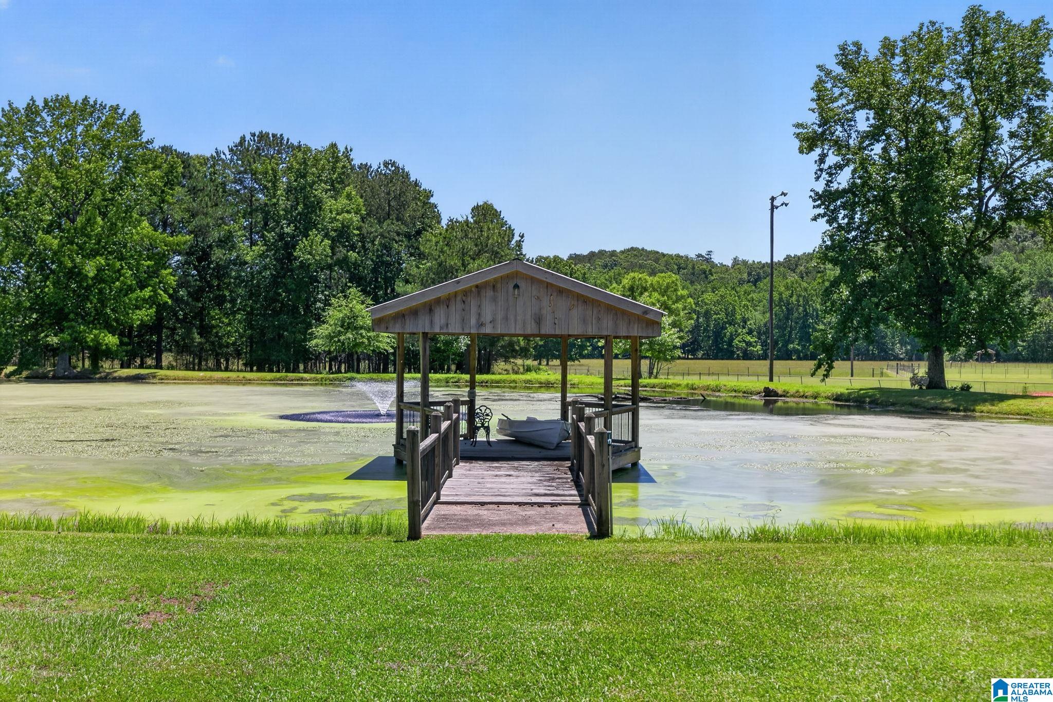 3463 County Road 3 Delta, AL 36258 - Photo 53 of 100