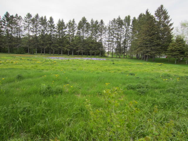 661 Lake Shore Road St. David, ME 04773 - Photo 11 of 15 IMG_5026