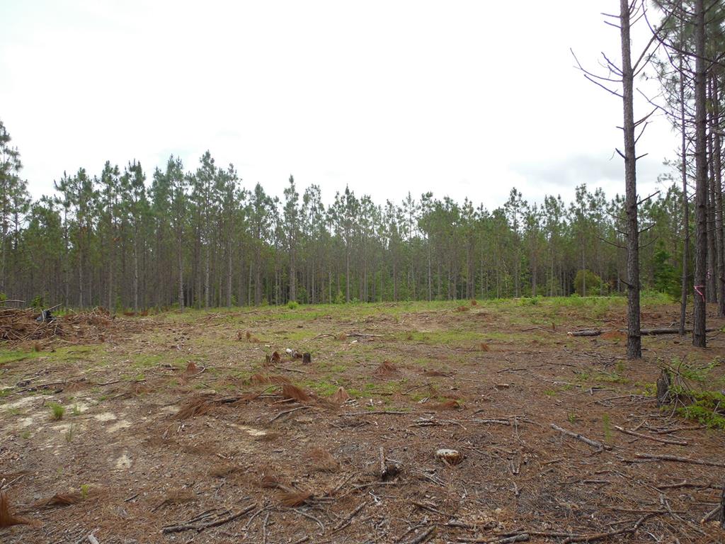2.7-acre Glen Lawrence Road Cowarts, AL 36321 - Photo 1 of 1