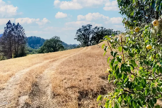 $498,500 | 18300 Walker Road, Willits, CA 95490