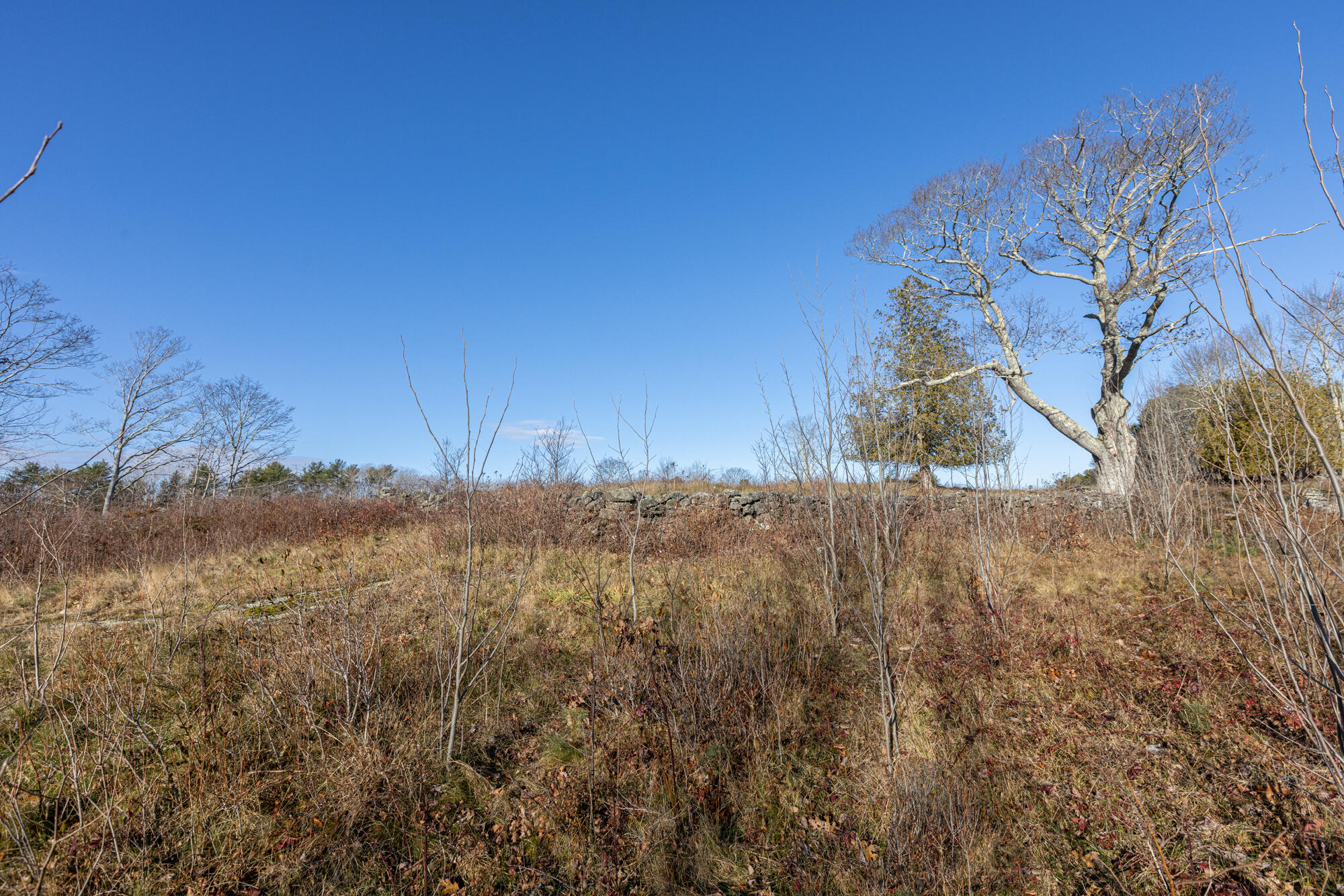 33 Quahog Farm Road Harpswell, ME 04079 - Photo 37 of 41 Looking back toward road-3