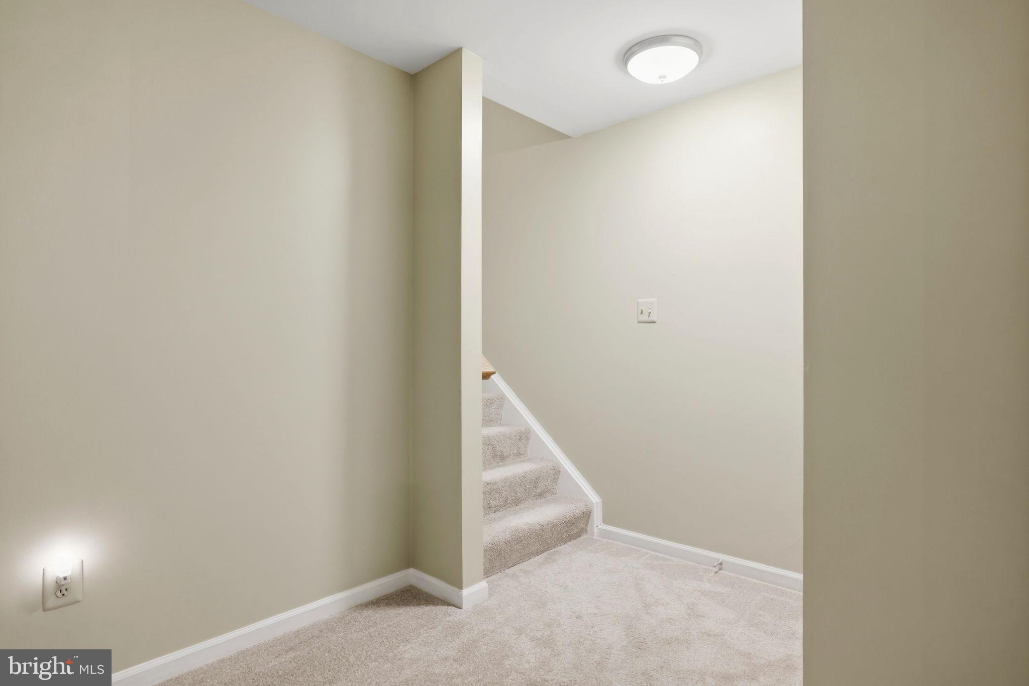 813 Duncan Place Southeast Leesburg, VA 20175 - Photo 60 of 90 New Carpet