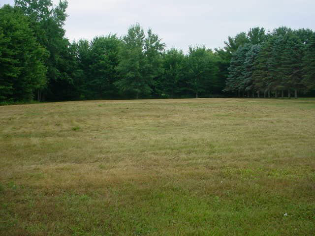 Baker Road Bridgeport, MI 48722 - Photo 2 of 2 20102860-1.JPG