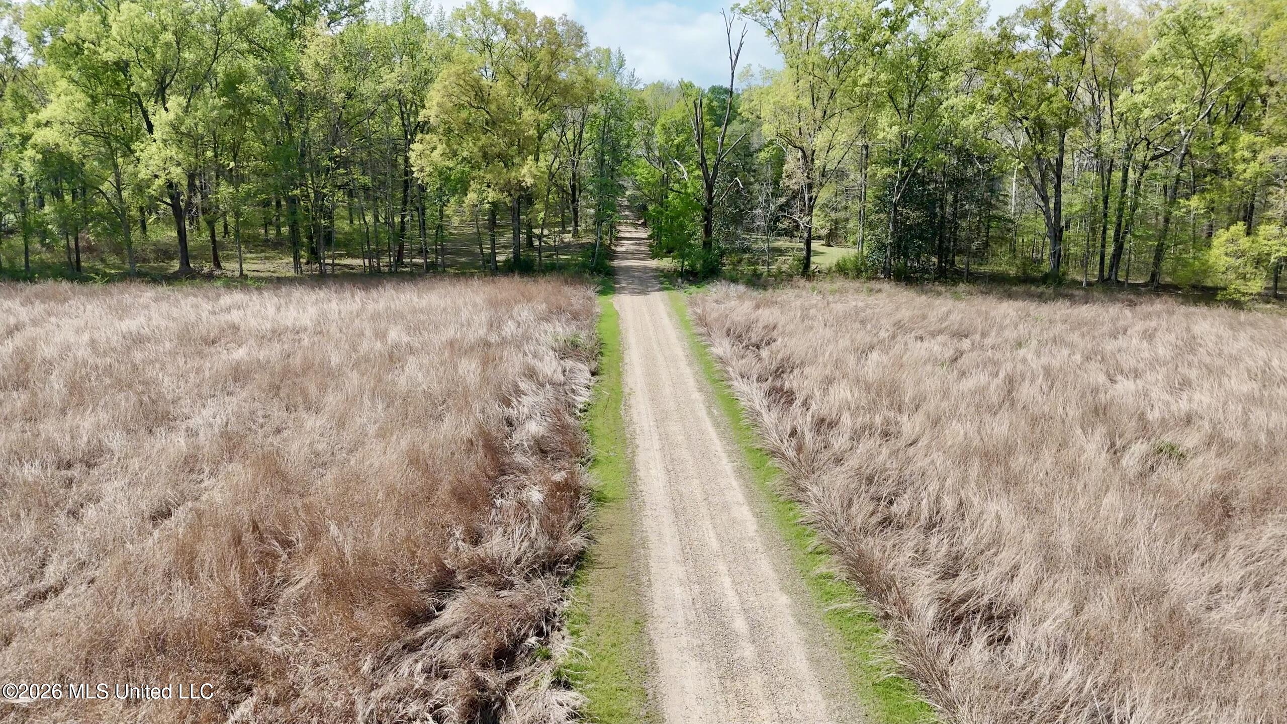 8747 River Road Natchez, MS 39120 - Photo 11 of 97 1827E30C-4CA0-41F2-AC0B-D8E63857D071Scre