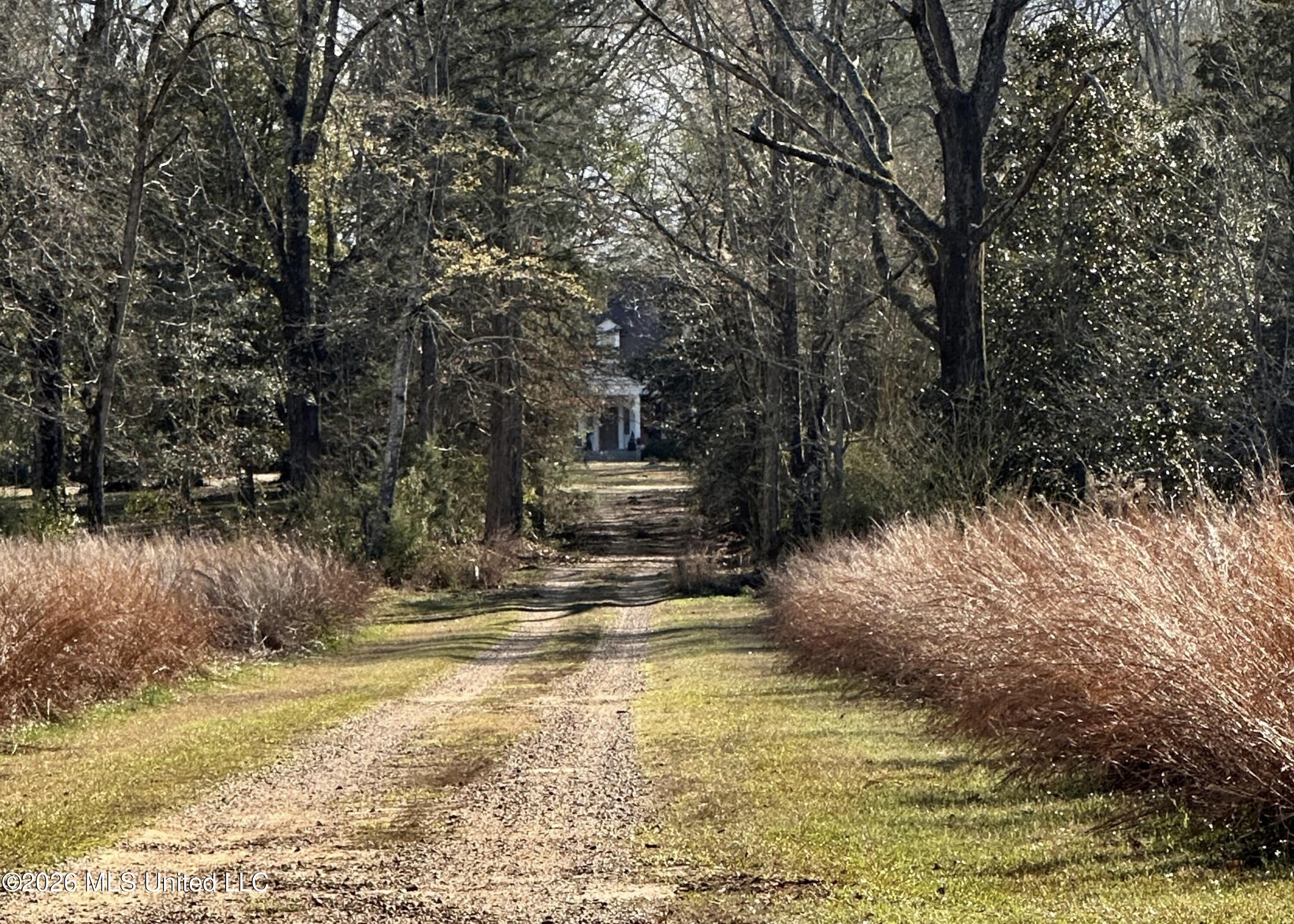 8747 River Road Natchez, MS 39120 - Photo 12 of 97 Driveway