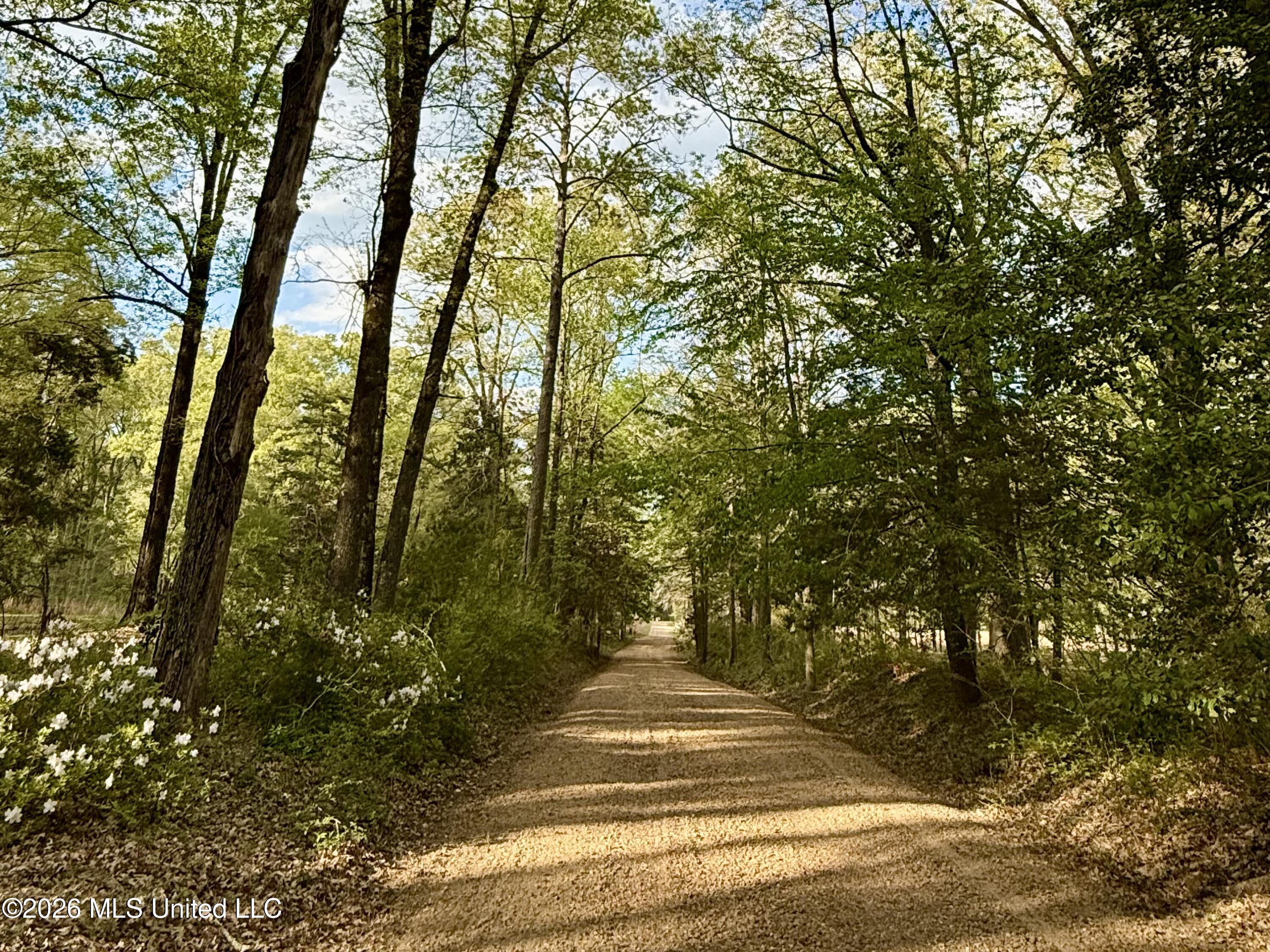 8747 River Road Natchez, MS 39120 - Photo 13 of 97 IMG_5109