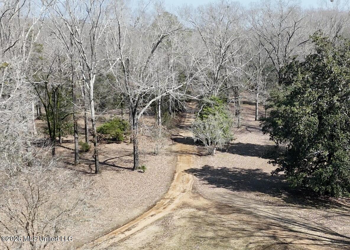 8747 River Road Natchez, MS 39120 - Photo 16 of 97 Driveway