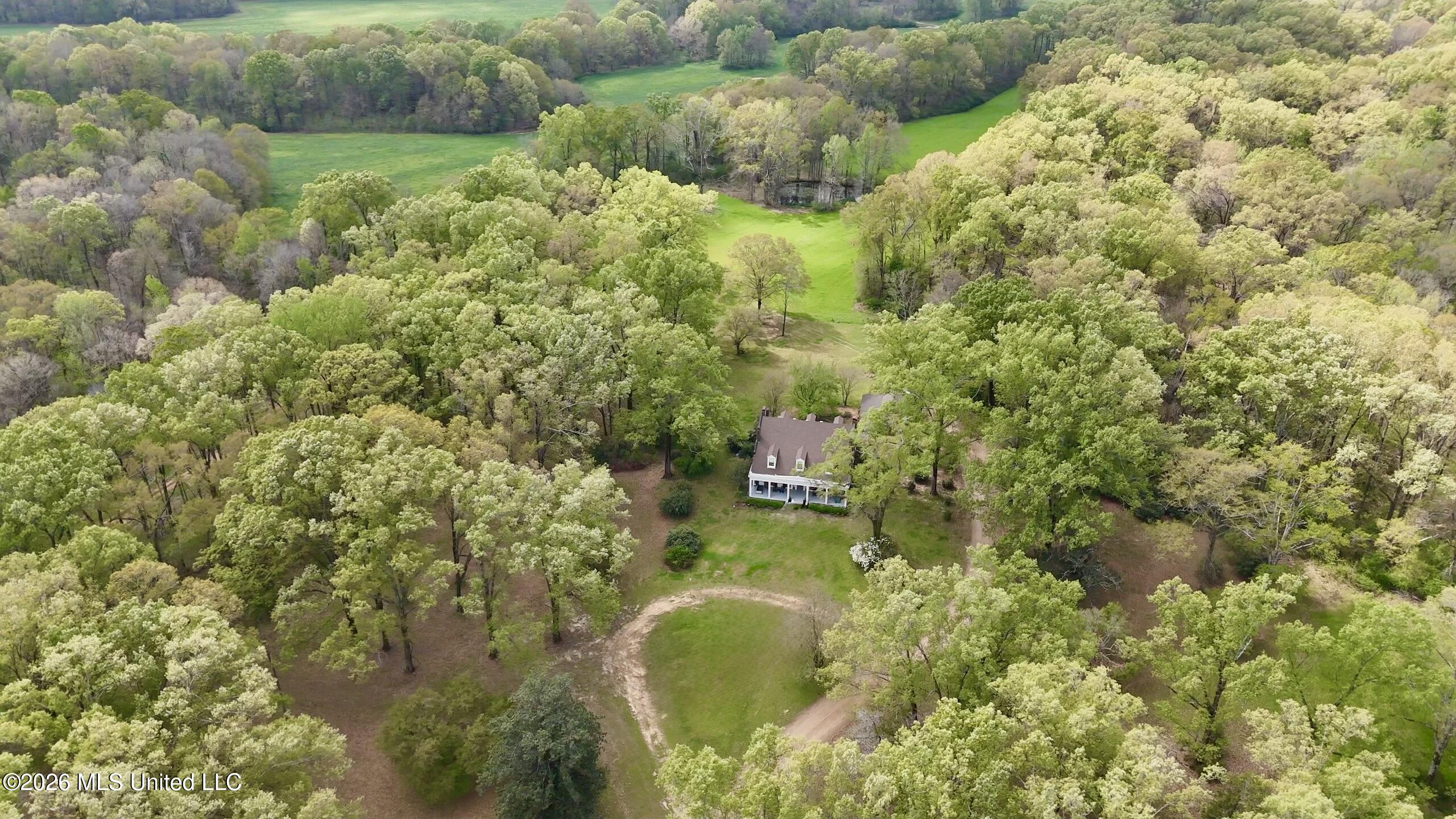 9227 River Road Natchez, MS 39120 - Photo 64 of 97 ABEB2AA3-F2A3-48C5-BFC6-F2272E718DE4Scre
