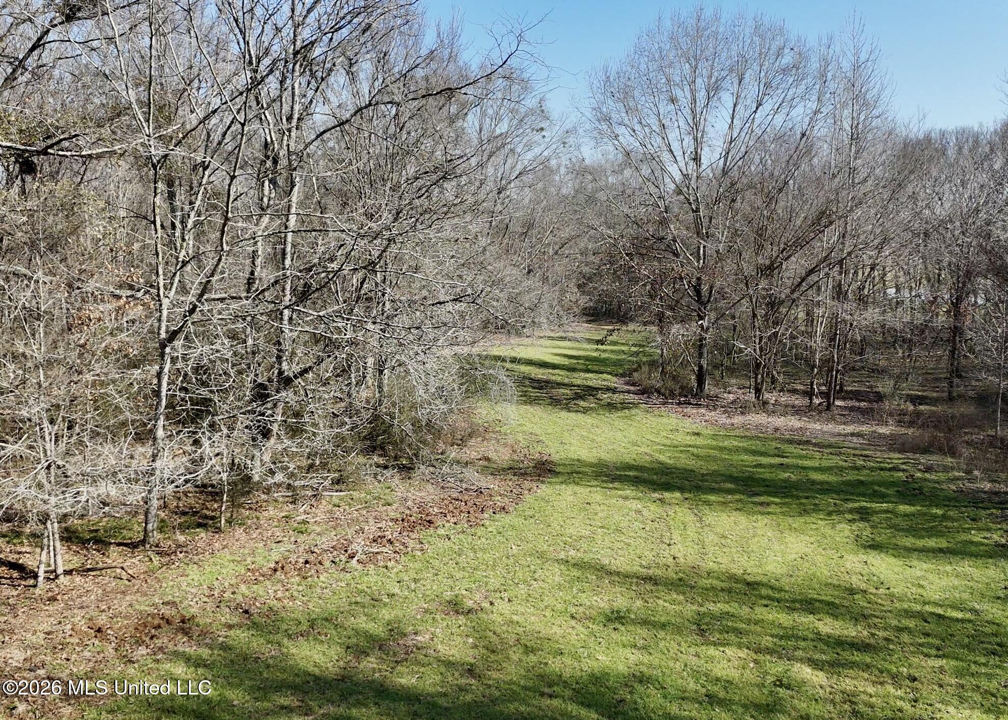 8747 River Road Natchez, MS 39120 - Photo 66 of 97 Land