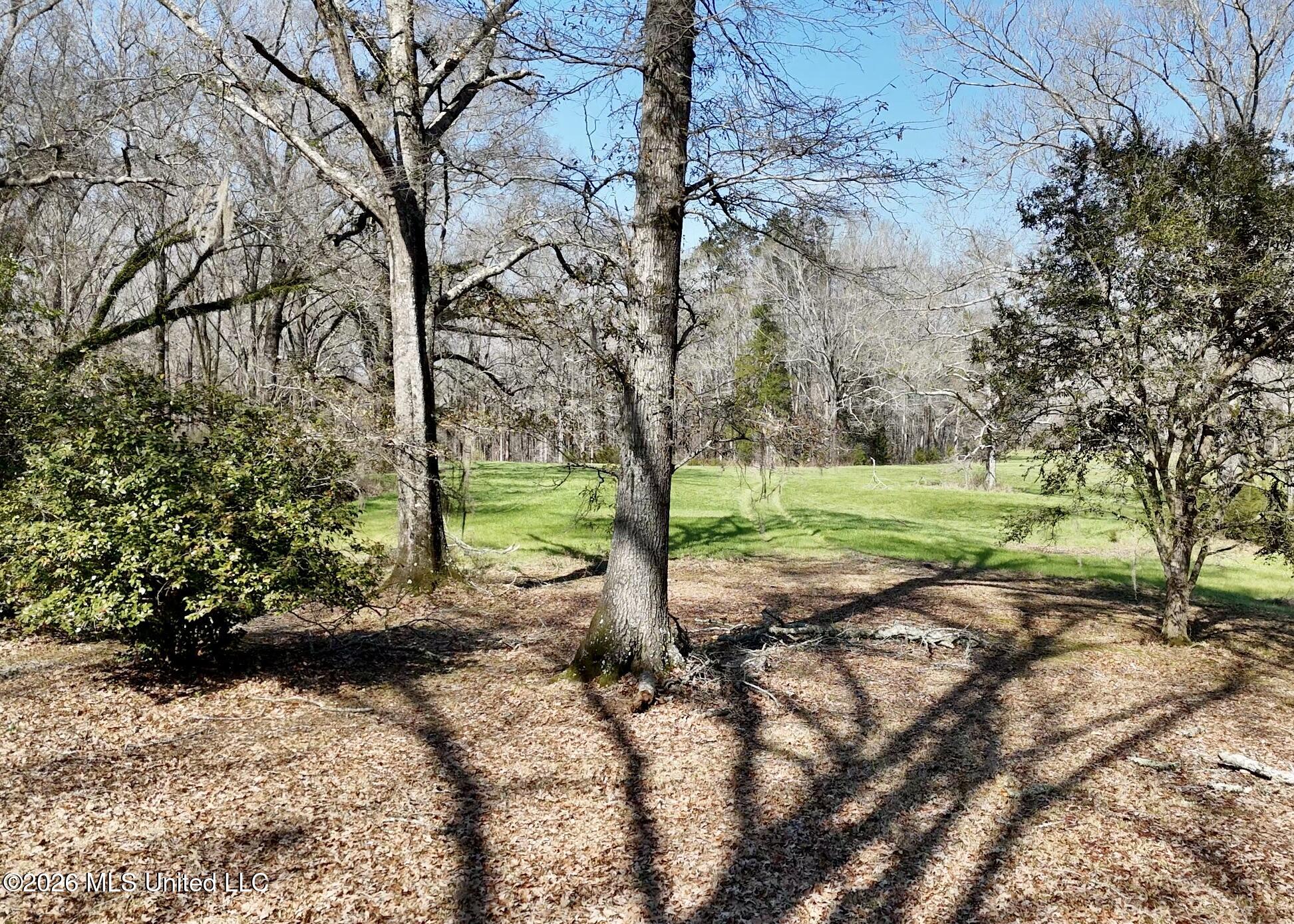 9227 River Road Natchez, MS 39120 - Photo 66 of 97 Land