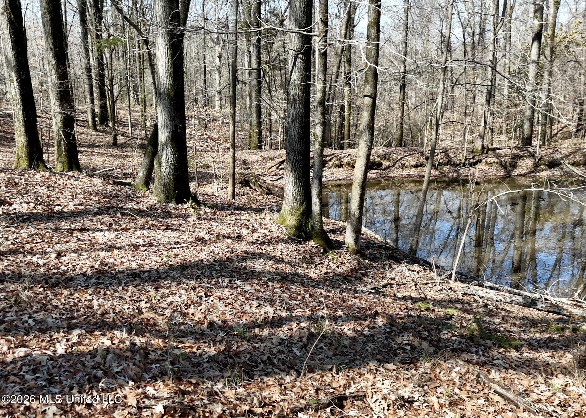 9227 River Road Natchez, MS 39120 - Photo 67 of 97 Land