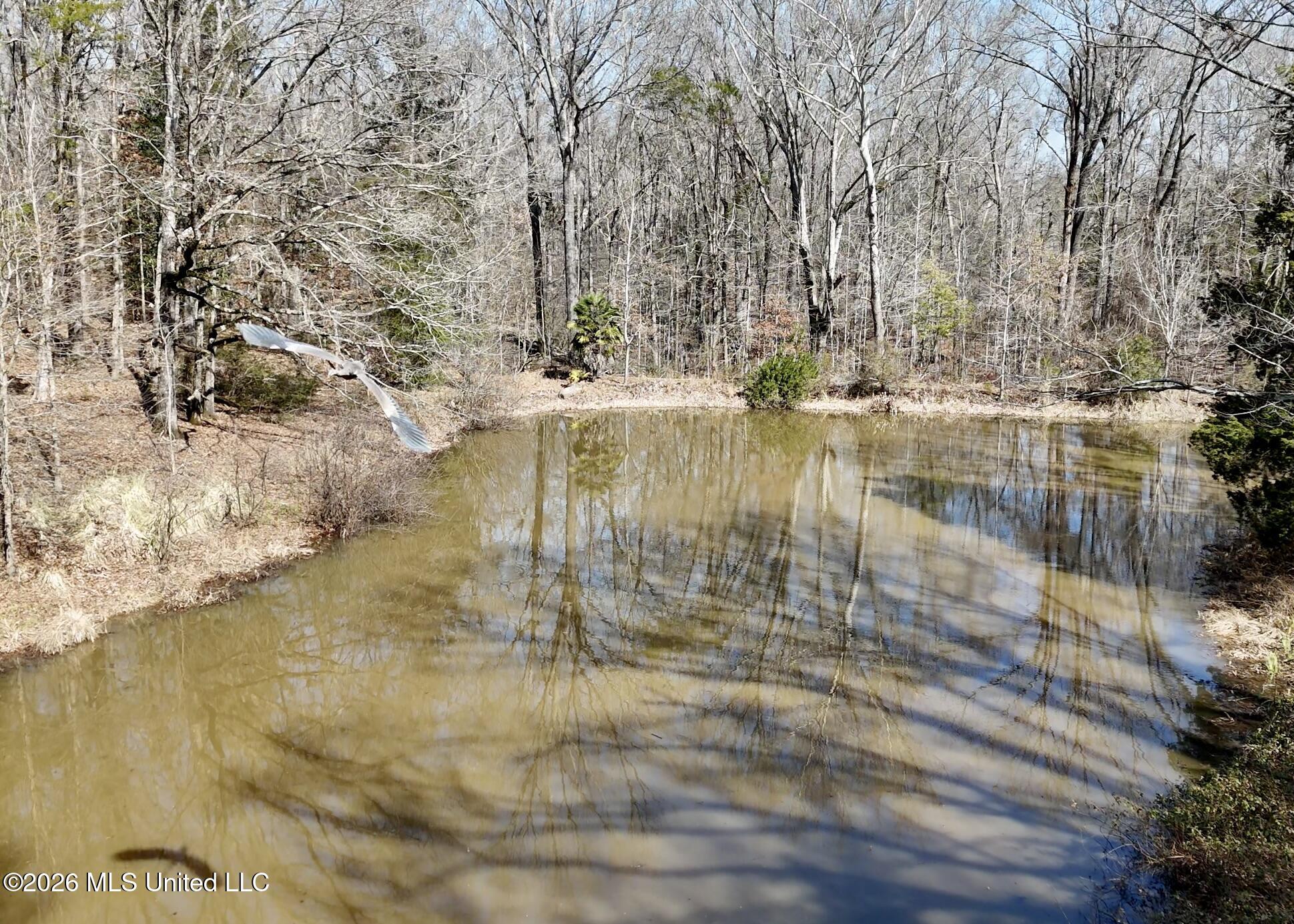9227 River Road Natchez, MS 39120 - Photo 68 of 97 Land