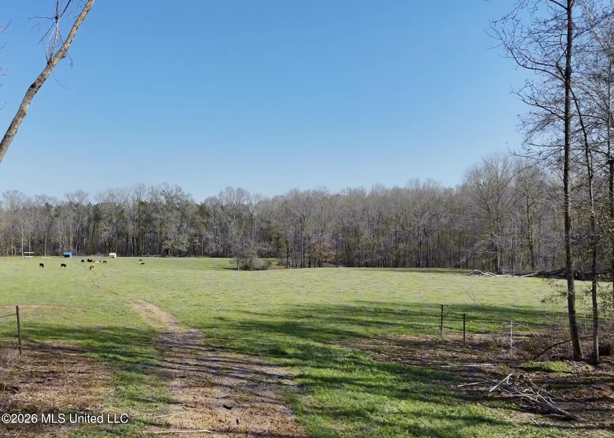 9227 River Road Natchez, MS 39120 - Photo 69 of 97 Land