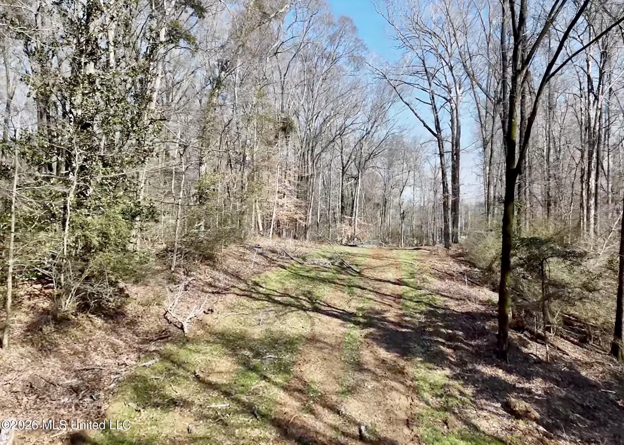 9227 River Road Natchez, MS 39120 - Photo 70 of 97 Land