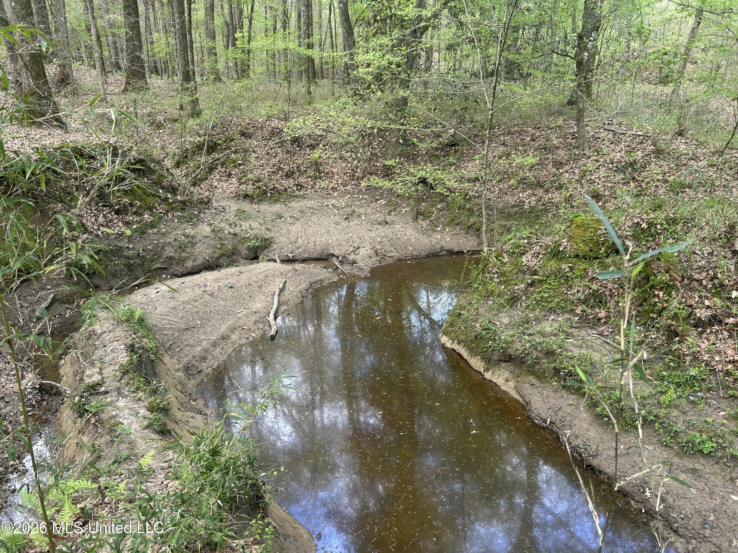 8747 River Road Natchez, MS 39120 - Photo 72 of 97 IMG_5974