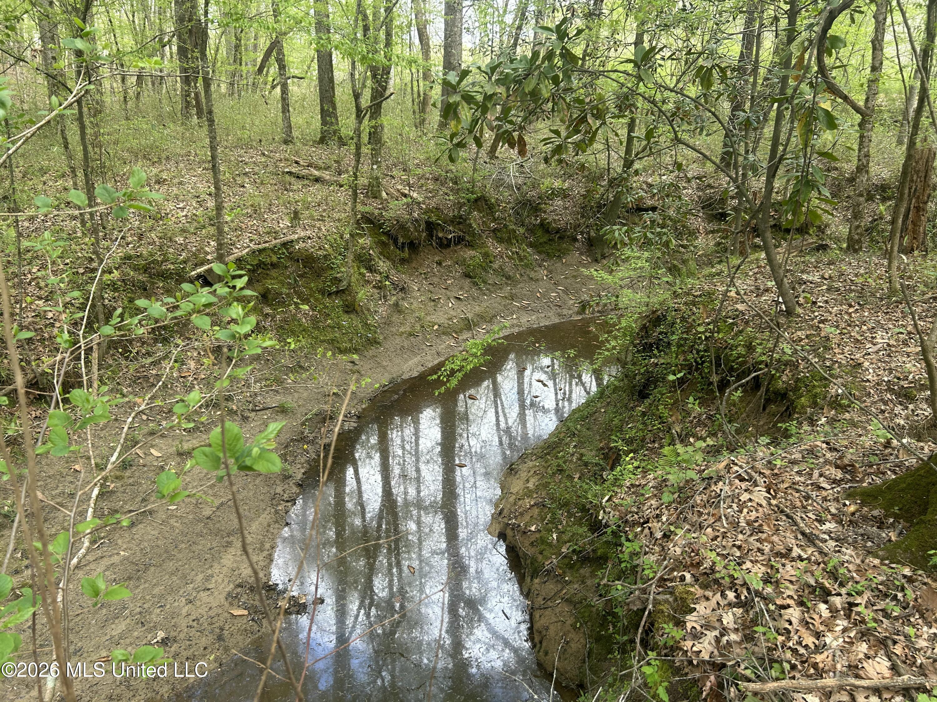 8747 River Road Natchez, MS 39120 - Photo 73 of 97 IMG_5975