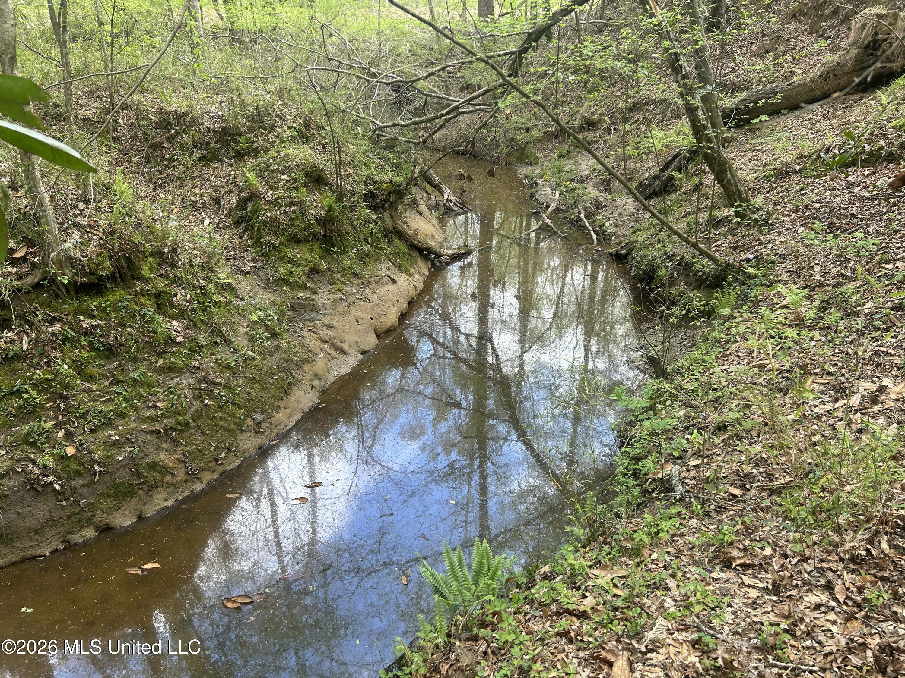8747 River Road Natchez, MS 39120 - Photo 75 of 97 IMG_5977
