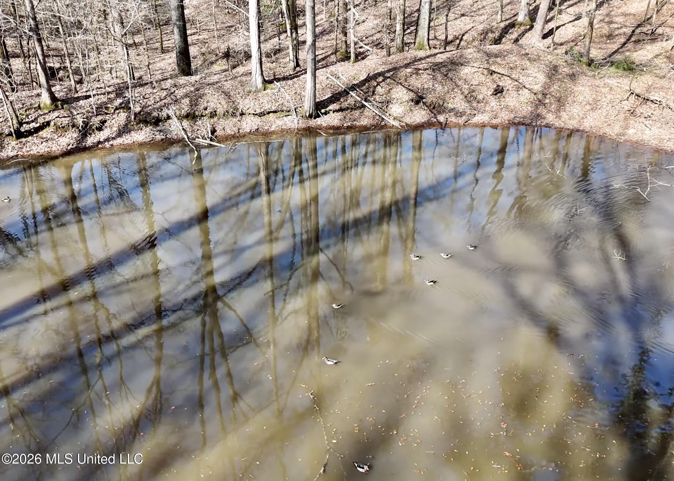 9227 River Road Natchez, MS 39120 - Photo 76 of 97 Land