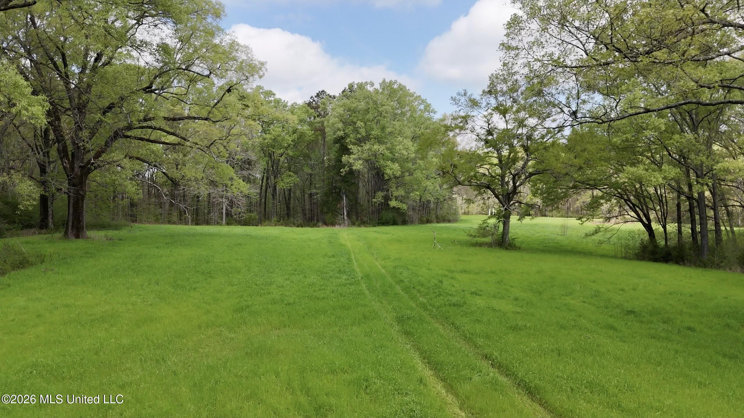 9227 River Road Natchez, MS 39120 - Photo 79 of 97 875A2934-E2F4-40D6-874E-E73CA6FA3CD2Scre