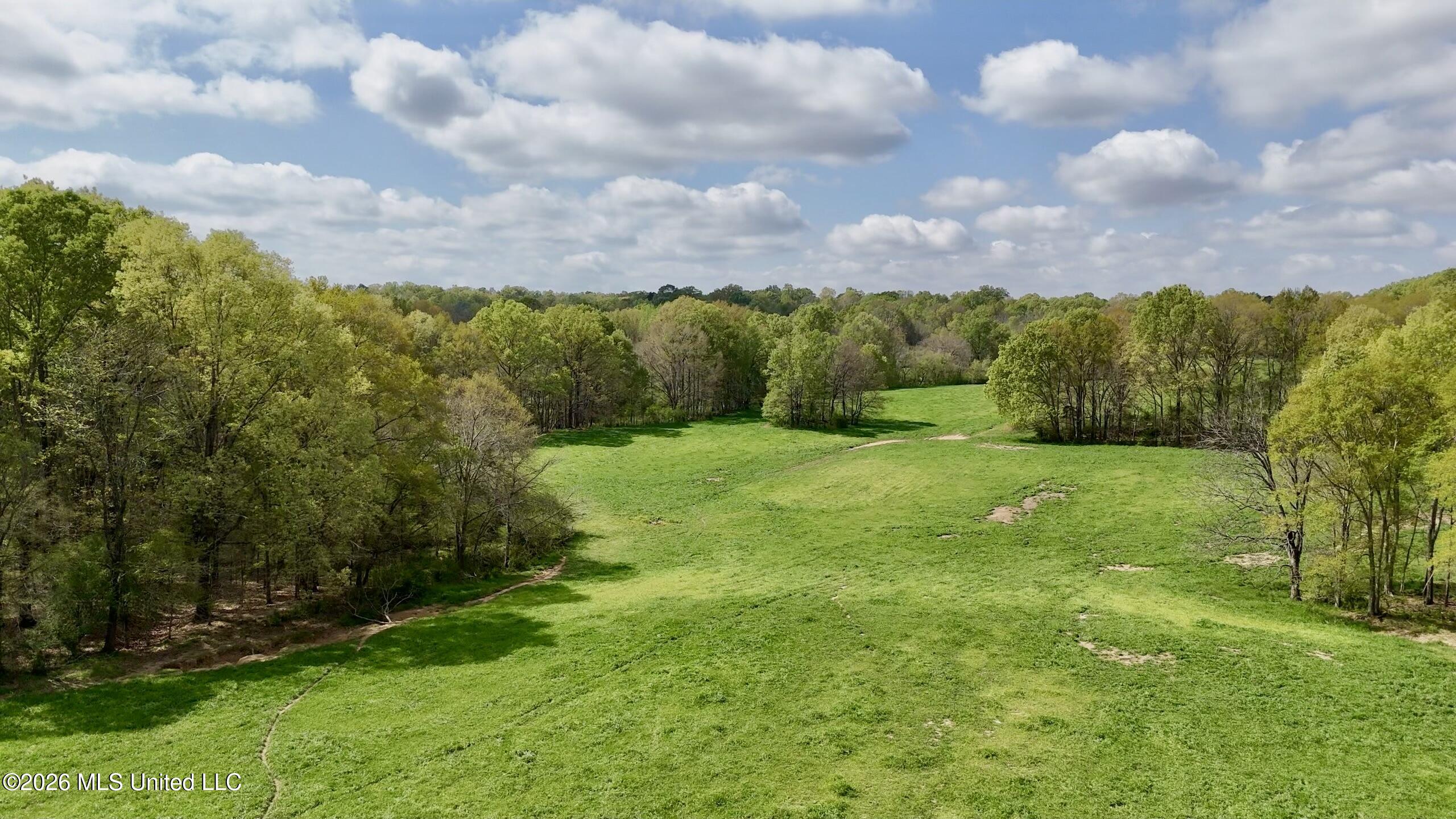 8747 River Road Natchez, MS 39120 - Photo 82 of 97 EB465A0E-5F1D-4FD4-A20C-E7BC4C317565Scre