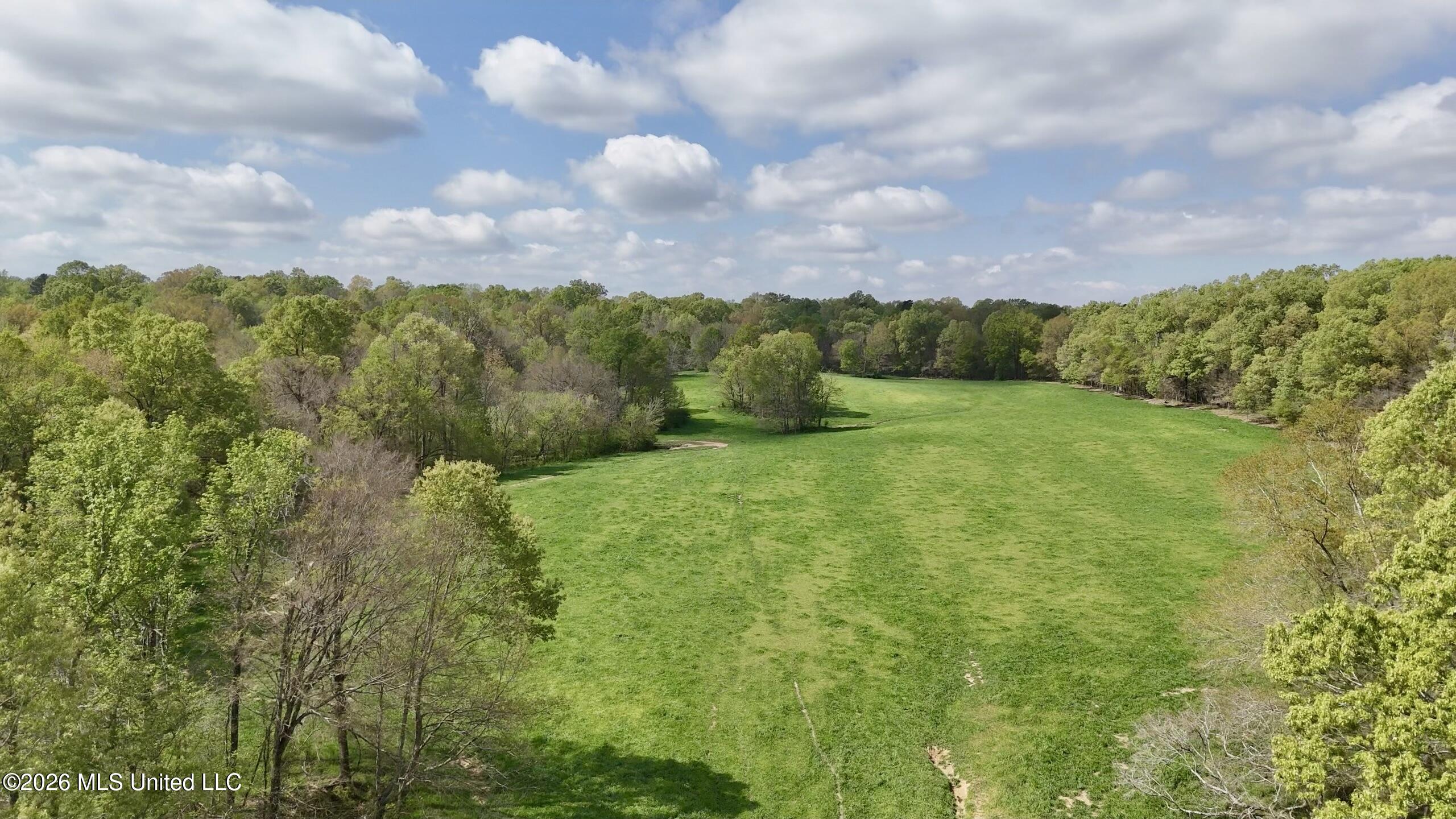 8747 River Road Natchez, MS 39120 - Photo 83 of 97 5B274EFC-E12B-4DCB-A3B3-D2D361788B3DScre