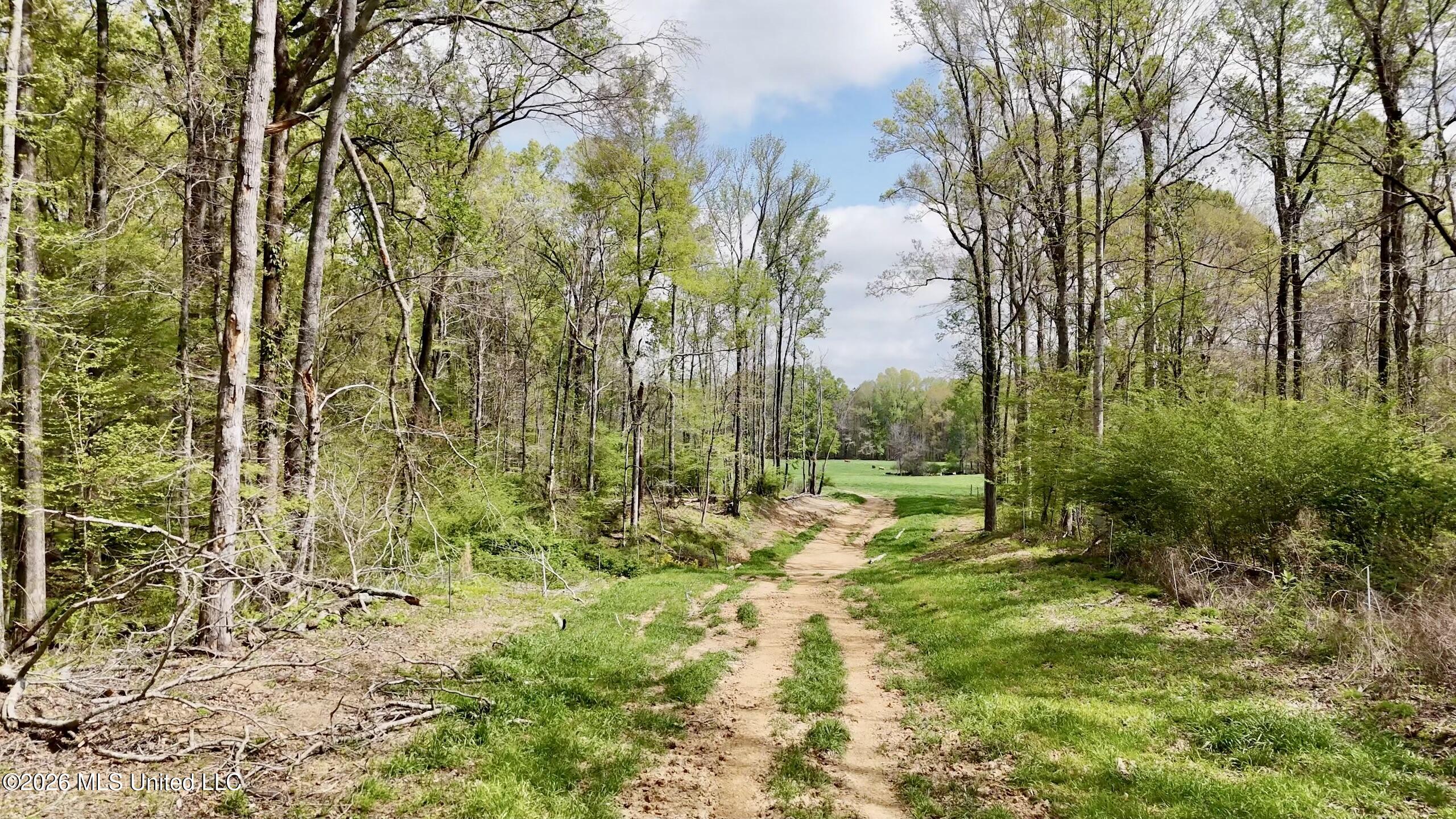 8747 River Road Natchez, MS 39120 - Photo 86 of 97 1B62623F-2785-451B-B646-B35497699908Scre