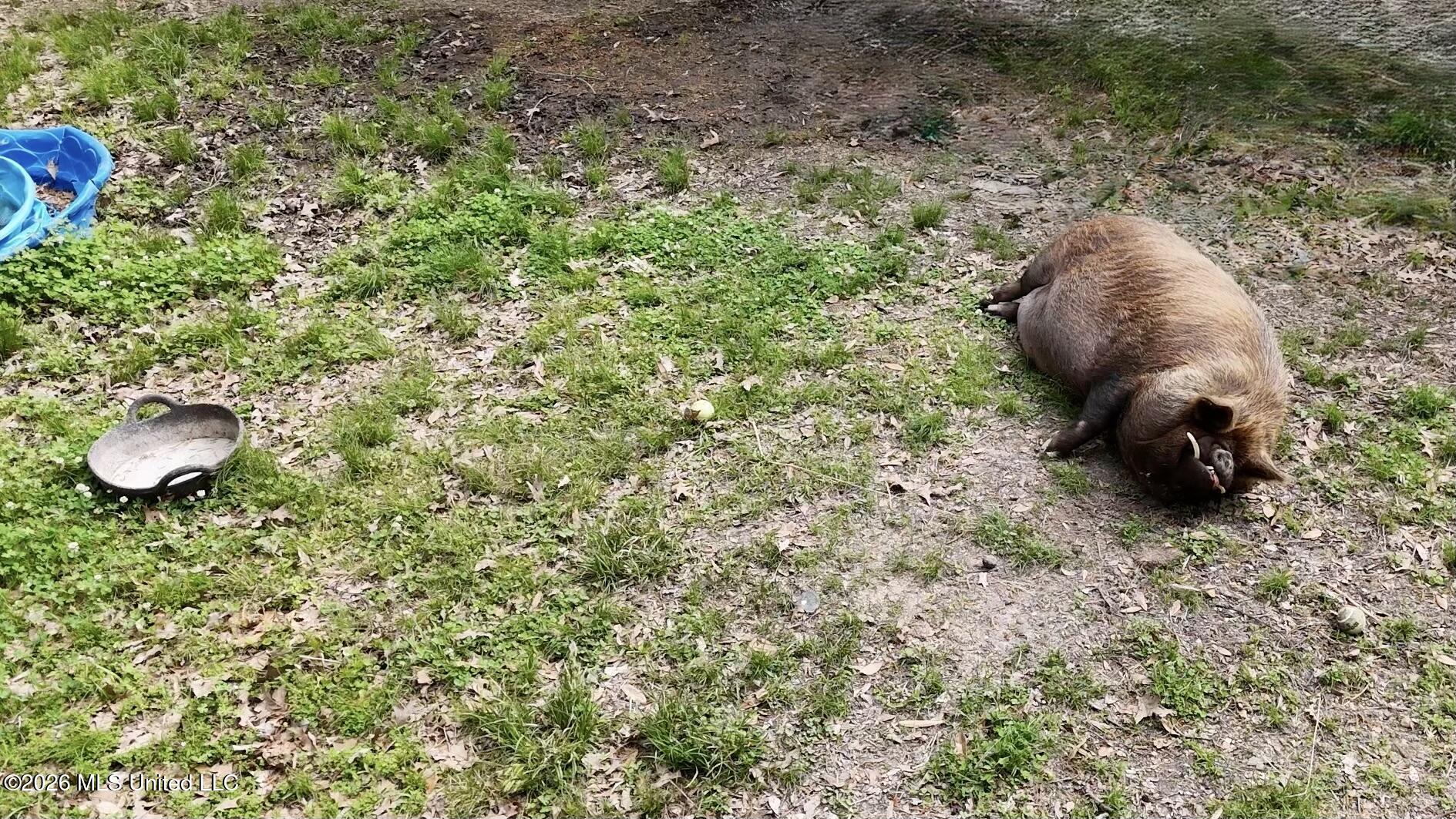 8747 River Road Natchez, MS 39120 - Photo 90 of 97 5B414915-F939-40A9-96F4-6064E5AB4AE9Scre