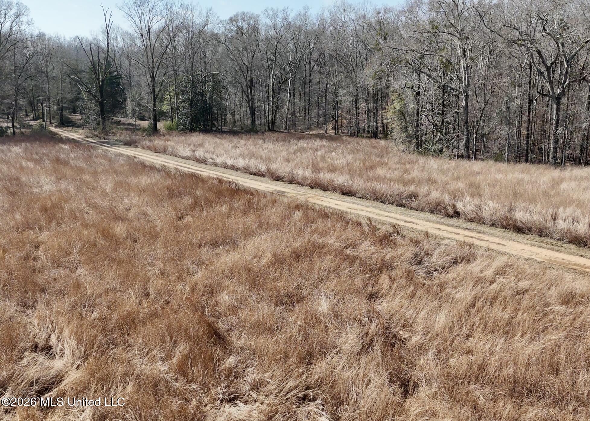 8747 River Road Natchez, MS 39120 - Photo 10 of 97 Driveway