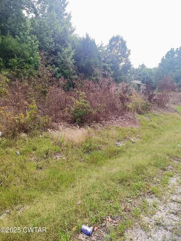 $18,900 | 449 St John Road, Denmark, TN 38391