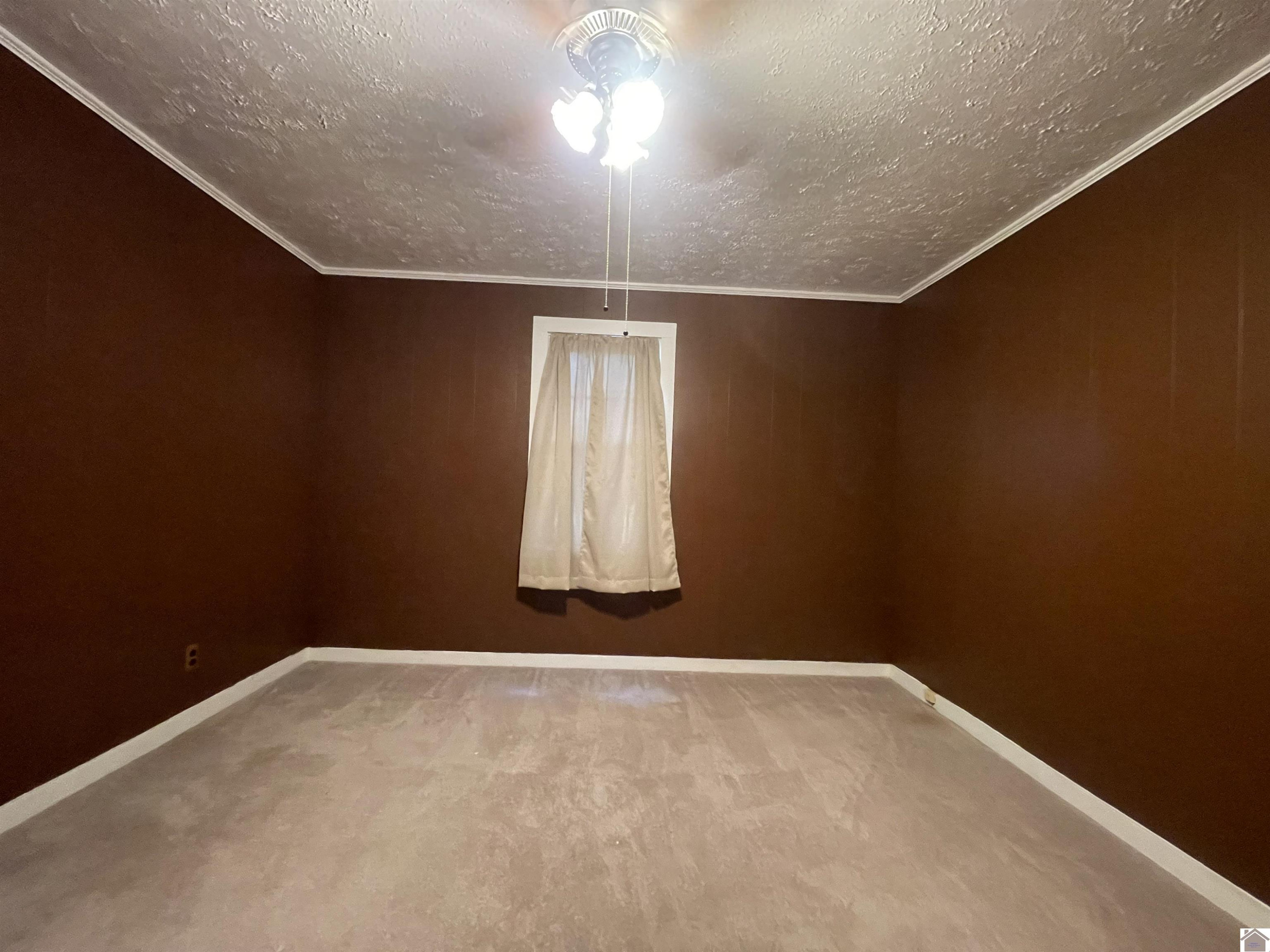 4419 Radio Road Dexter, KY 42036 - Photo 18 of 31 Photo 18