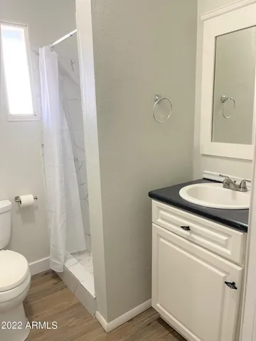 a bathroom with a sink a toilet a mirror and shower